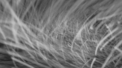 Horní stanice Lanové dráhy