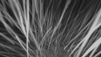 Skiareál - Skipark Filipovice