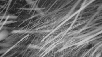 Skiareál - Skipark Filipovice