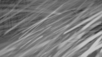 Skiareál - Skipark Filipovice