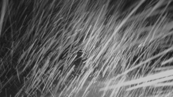 Skiareál - Skipark Filipovice