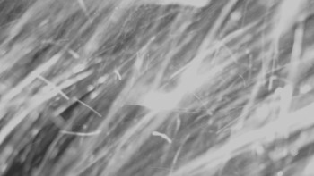 Skiareál - Skipark Filipovice