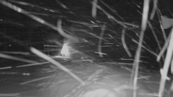 Horní stanice Lanové dráhy