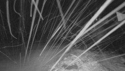 Horní stanice Lanové dráhy