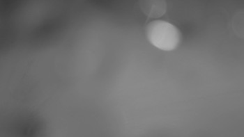 Skiareál - Skipark Filipovice