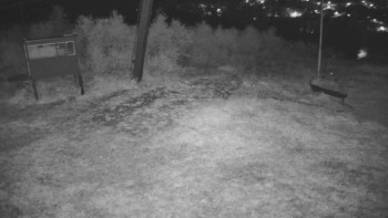 Snímek    13.9.2025 v 05:30