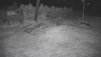Snímek    14.9.2025 v 03:40