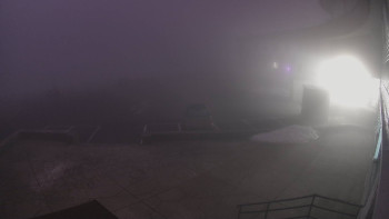 Snímek 7.11.2025 v 05:55