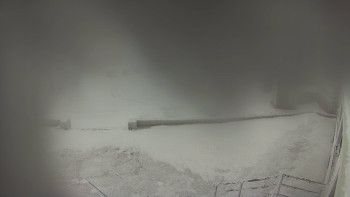 Snímek    20.11.2025 v 12:55