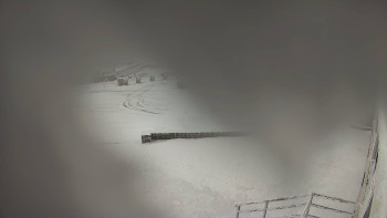 Snímek    21.11.2025 v 08:45