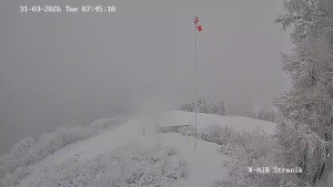 Město Žilina - Vrch Straník - 31.3.2026 v 08:45