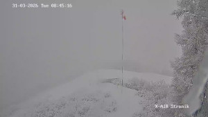 Město Žilina - Vrch Straník - 31.3.2026 v 09:45