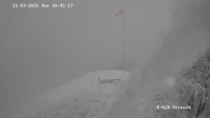 Město Žilina - Vrch Straník - 31.3.2026 v 11:45