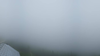 Snímek    4.7.2025 v 18:15