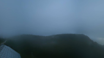 Snímek    13.9.2025 v 03:45