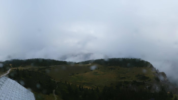 Snímek    16.9.2025 v 08:45