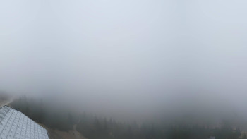 Snímek    18.10.2025 v 11:45