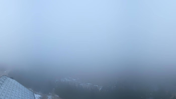 Snímek 8.11.2025 v 08:15