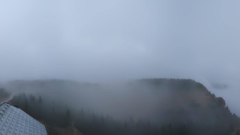 Snímek 17.11.2025 v 08:32