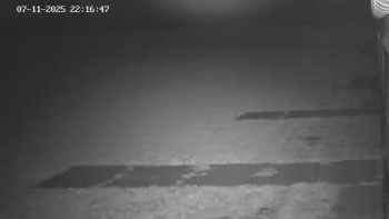 Snímek 7.11.2025 v 23:02