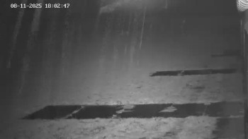 Snímek    8.11.2025 v 19:02