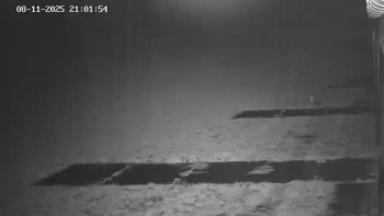 Snímek 8.11.2025 v 22:02