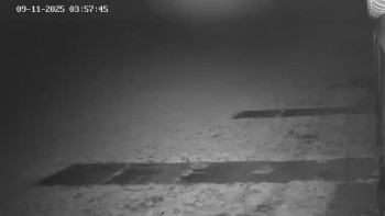 Snímek 9.11.2025 v 04:02