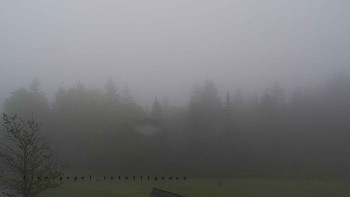 Snímek    15.5.2025 v 08:15