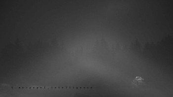 Snímek    16.7.2025 v 04:20