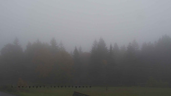Snímek    15.10.2025 v 11:55