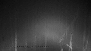 Snímek    3.11.2025 v 03:40