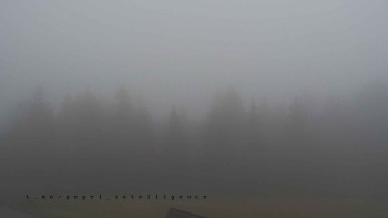 Snímek    3.11.2025 v 15:30