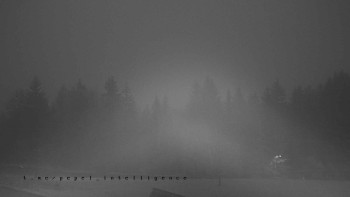 Snímek    3.11.2025 v 16:45