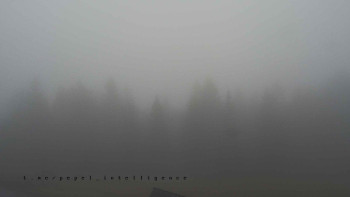 Snímek    4.11.2025 v 07:55