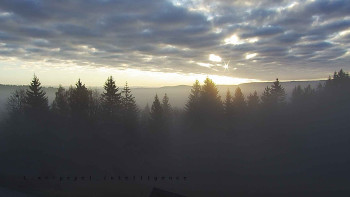 Snímek    12.11.2025 v 07:25