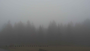 Snímek 17.11.2025 v 09:10