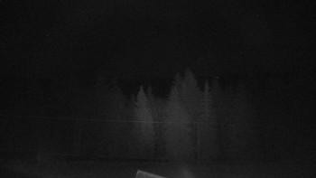 Snímek 19.11.2025 v 03:25