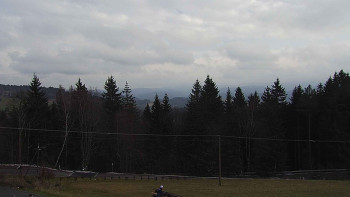 Snímek    20.11.2025 v 12:50