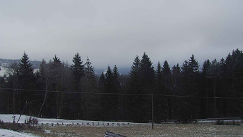 Snímek 22.11.2025 v 08:30