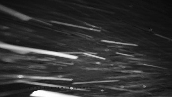 Snímek    23.11.2025 v 00:10