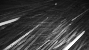 Snímek 23.11.2025 v 01:00