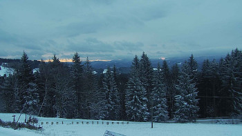 Snímek    24.11.2025 v 07:25