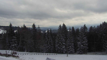 Snímek    24.11.2025 v 09:20