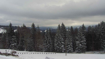 Snímek    24.11.2025 v 11:05