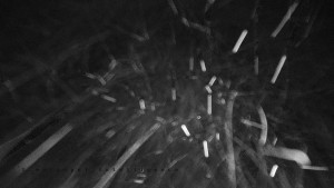 Horský hotel Čarták na Soláni - Panorama Javorníků - 31.12.2025 v 02:55 Horský hotel Čarták na Soláni - Panorama Javorníků - 31.12.2025 v 02:55