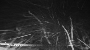 Horský hotel Čarták na Soláni - Panorama Javorníků - 31.12.2025 v 04:55 Horský hotel Čarták na Soláni - Panorama Javorníků - 31.12.2025 v 04:55