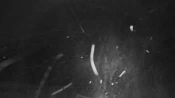 Horský hotel Čarták na Soláni