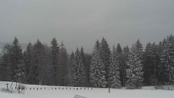 Panorama Javorníků