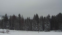 Panorama Javorníků