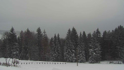 Panorama Javorníků